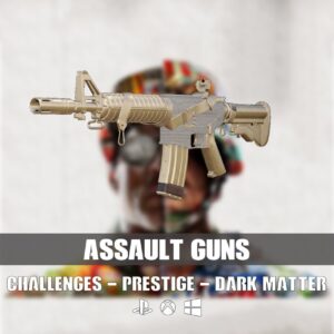 Assault Guns